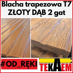 Blacha trapezowa Ocynk W 2 gat